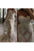 2022 Prom Dresses Mermaid Sweetheart Tulle With Applique