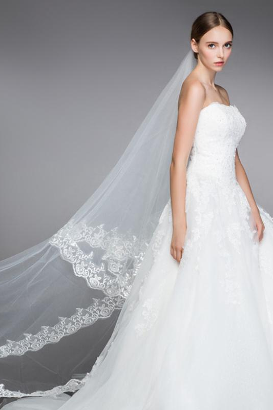 Long Lace Edge Bridal Wedding Accessories Mariage Bride Wedding Veil
