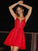 A-Line/Princess Tulle Applique Spaghetti Straps Sleeveless Short/Mini Homecoming Dresses TPP0004003